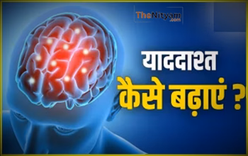 Alzheimer Day जवानी में ही भूलने की बीमारी का खतरा? ऐसे बढ़ाएं मेमोरी पावर