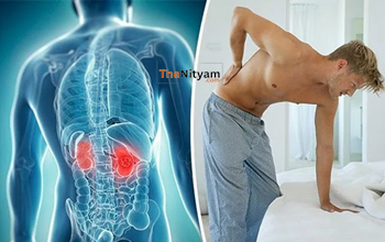 Kidney Damage Symptoms: पेट-पसली का दर्द हो सकता है किडनी डैमेज का संकेत, जानें एक्सपर्ट की चेतावनी