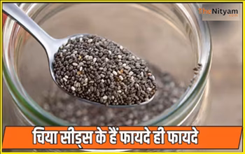 Chia Seeds Water Benefits : खाली पेट पीजिए चिया सीड्स का पानी, ब्लड प्रेशर और वेट लॉस समेत मिलेंगे ढेरों फायदे...