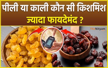 पीली या काली किशमिश: कौन सी है सेहत के लिए ज्यादा फायदेमंद? जानिए कौन-सी किशमिश रखेगी दिल से लेकर त्वचा तक को स्वस्थ!