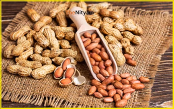 рд╕рд░реНрджрд┐рдпреЛрдВ рдореЗрдВ рд░реЛрдЬ рдЦрд╛рдПрдВ рдореБрдЯреНрдареА рднрд░ рдореВрдВрдЧрдлрд▓реА: рджрд┐рдирднрд░ рд░рд╣реЗрдЧреА рдПрдирд░реНрдЬреА, рд╕реЗрд╣рдд рдХреЛ рдорд┐рд▓реЗрдВрдЧреЗ рдпреЗ рдЬрдмрд░рджрд╕реНрдд рдлрд╛рдпрджреЗ...