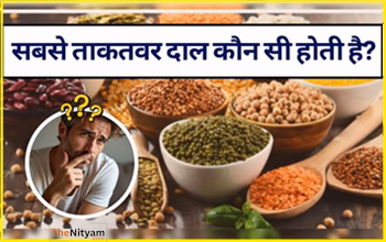 Top Protein Rich Dal: सबसे ताकतवर दाल कौनसी? जानिए कौनसी दाल देती है सबसे ज्यादा ताकत...