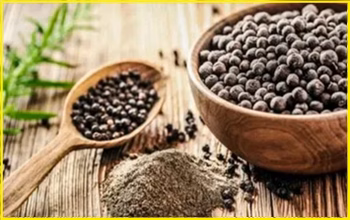 Winter Health Drink: सर्दियों में क्यों पिएं काली मिर्च का पानी? जानें इसके चमत्कारी फायदे...