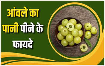 Amla Water Benefits : रोज पिएं एक गिलास आंवले का पानी, सेहत की हर परेशानी का आसान उपाय....