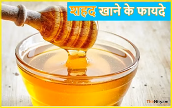 Honey Effect: रोज एक चम्मच खाने से फौलाद बन जाएगा शरीर, जानें इसके चमत्कारी फायदे...