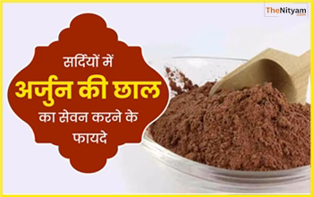 Arjun Ki Chaal Ke Fayde: अर्जुन की छाल के 5 चमत्कारी फायदे: सर्दियों में सेहत का प्राकृतिक खजाना...