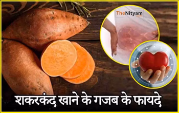 Sweet Potato Benefits : рд╕рд░реНрджрд┐рдпреЛрдВ рдореЗрдВ рд╢рдХрд░рдХрдВрдж рдЦрд╛рдиреЗ рдХрд╛ рд╕рд╣реА рддрд░реАрдХрд╛ рдФрд░ рдЬрдмрд░рджрд╕реНрдд рдлрд╛рдпрджреЗ рдЬрд╛рдиреЗрдВ...