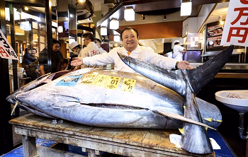 Tokyo Fish Auction 2026: मछली या खजाना? 29 करोड़ रुपये में बिकी ब्लूफिन टूना, वजह जानकर चौंक जाएंगे...